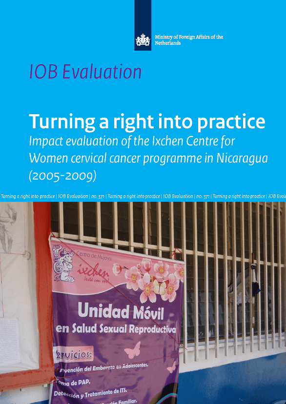 Cover van het rapport Turning a right into practice