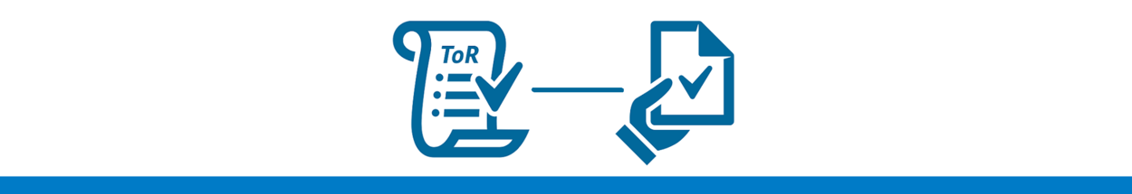 Icons Terms of Reference and Report