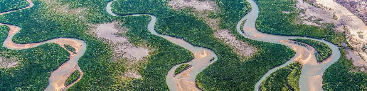 River delta in Mozambique