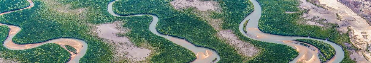 River delta in Mozambique