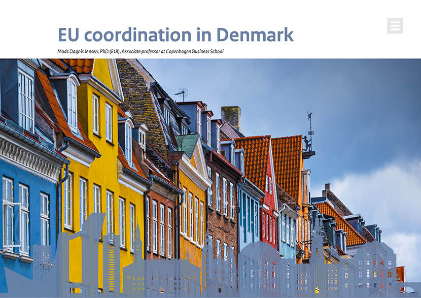 Cover of the substudy report Shaping National Voices  in the EU Denmark