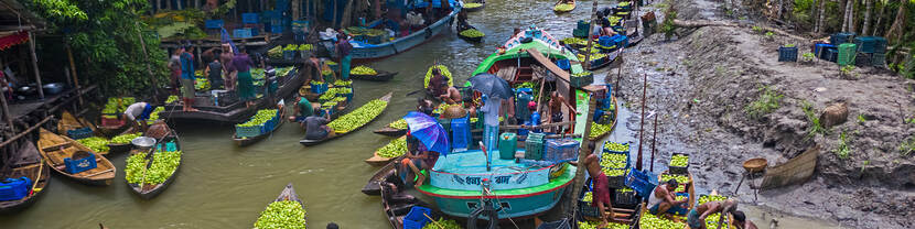 Guava farmers and traders are trading Guava at floating guava market in Bhimruli, Jhalokathi, Bangladesh